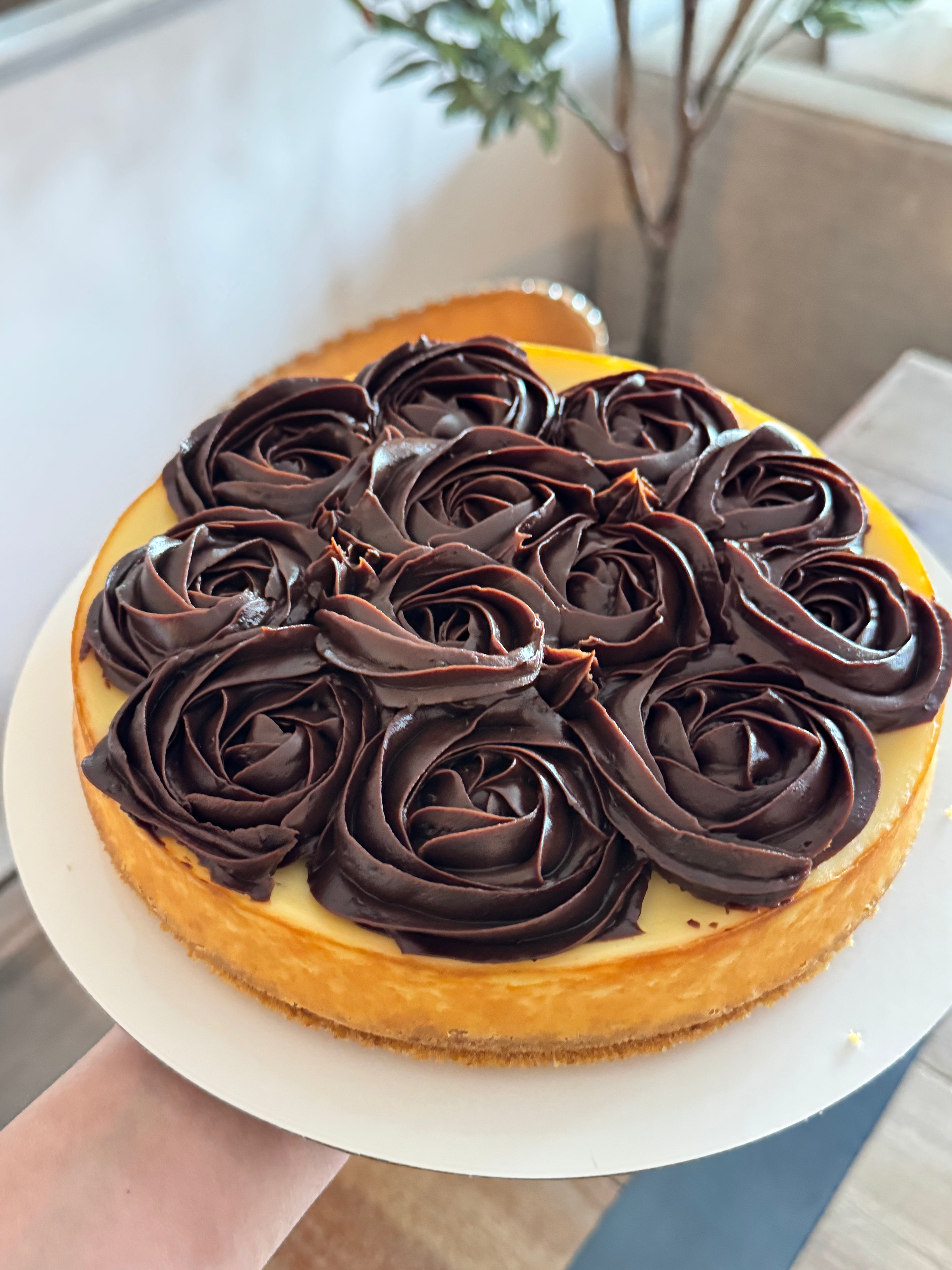 Chocolate Cheesecake